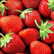 Produtores de morango recebem selo de certificação estadual